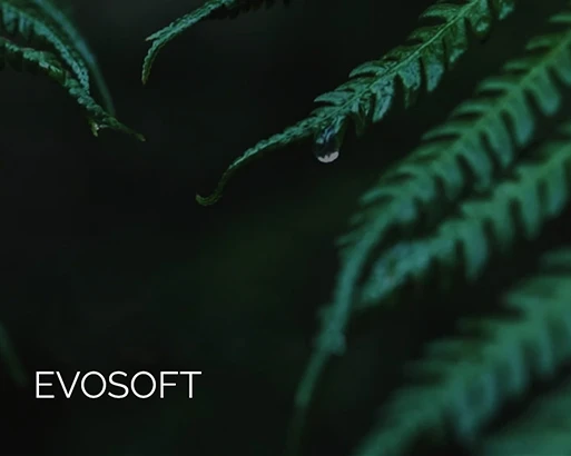 ДВУСТОРОННИЕ ФАСАДНЫЕ ПАНЕЛИ EVOSOFT