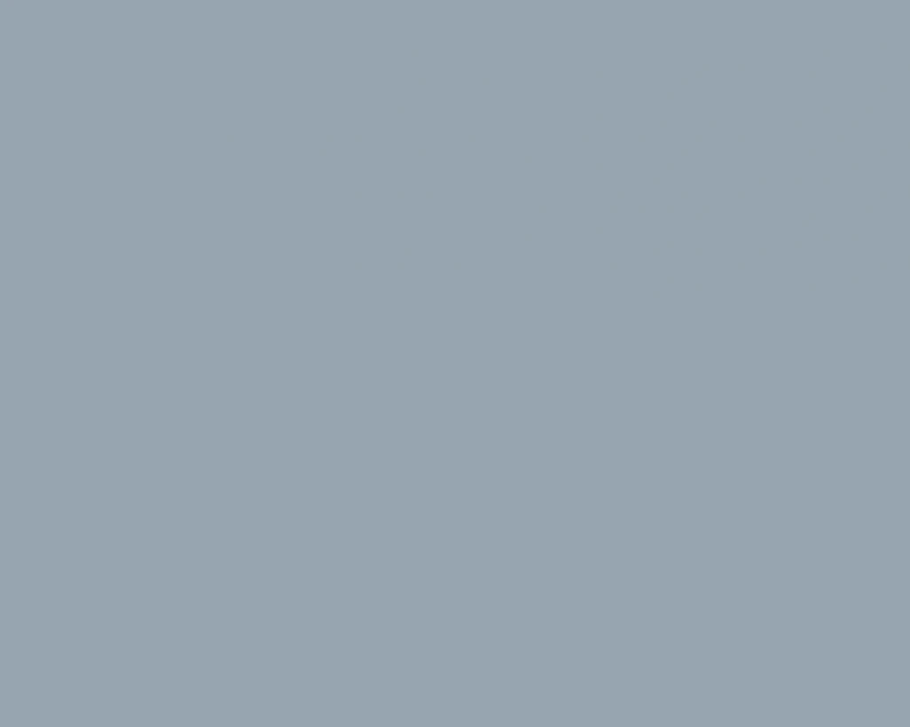 <b>DENIM BLUE</b>
