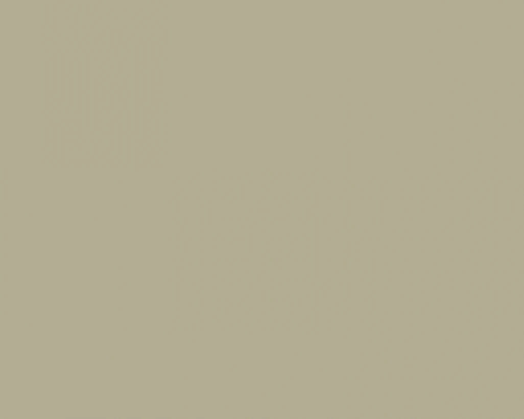 <b>SAGE GREEN</b>