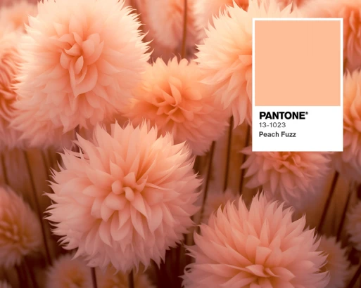 ЦВЕТ ГОДА 2024 ПО ВЕРСИИ PANTONE